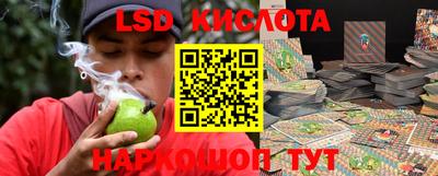дурь Кингисепп