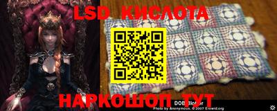 стафф Кинель