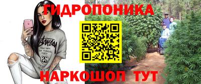 дурь Кингисепп