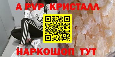 стафф Кинель
