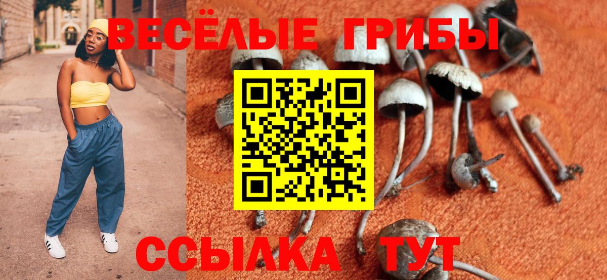 Галлюциногенные грибы Psilocybe  Псилоцибиновые грибы Cubensis  Армавир  Вход с VPN 