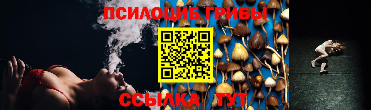 Псилоцибиновые грибы мухоморы Армавир